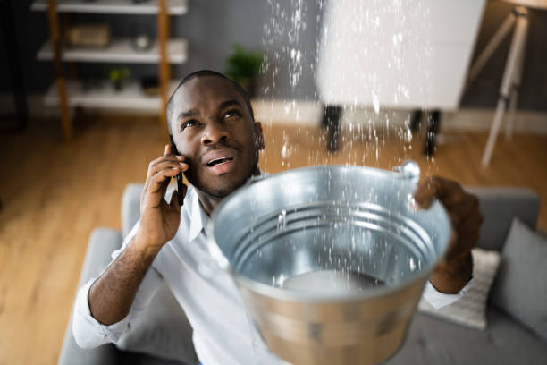 Best Water damage restoration experts  in USA